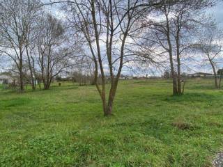 Terreno agricolo in vendita a latina via litoranea