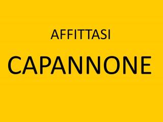 Capannone in affitto a nove 