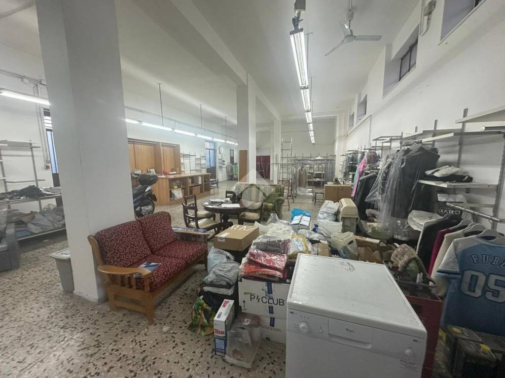 immagine annuncio 2 di 11