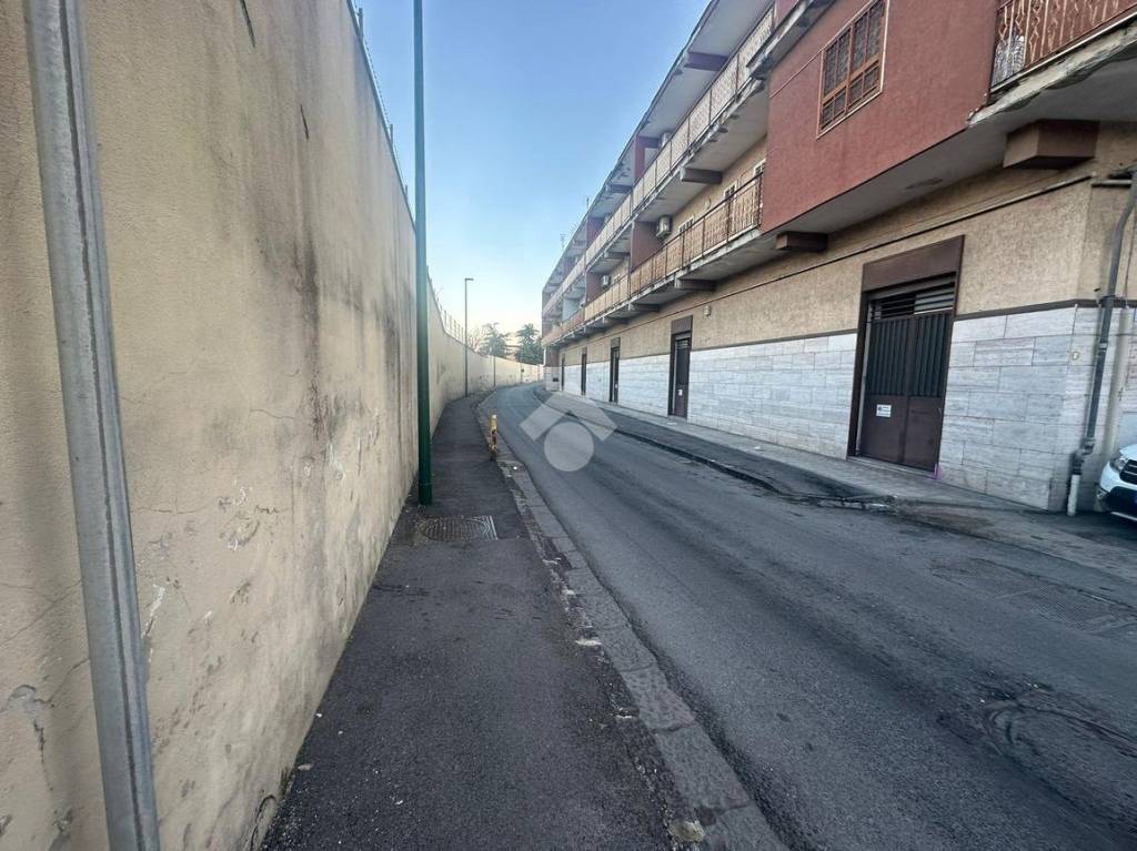 immagine annuncio 9 di 11
