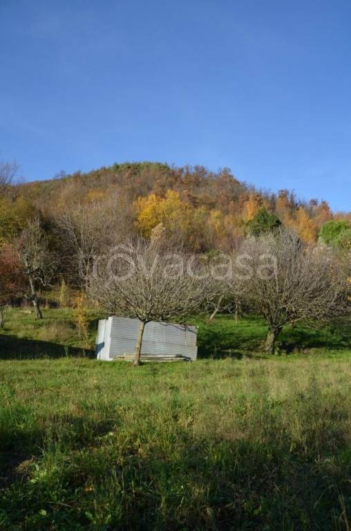 immagine annuncio 11 di 14