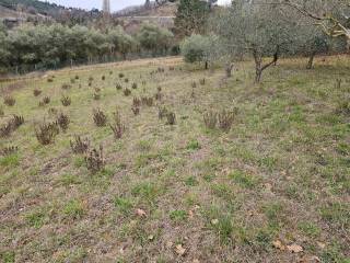 Terreno agricolo in vendita a pesaro dei condotti s.n.c.