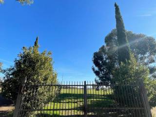 Terreno agricolo in affitto a roma via della giustiniana, 405