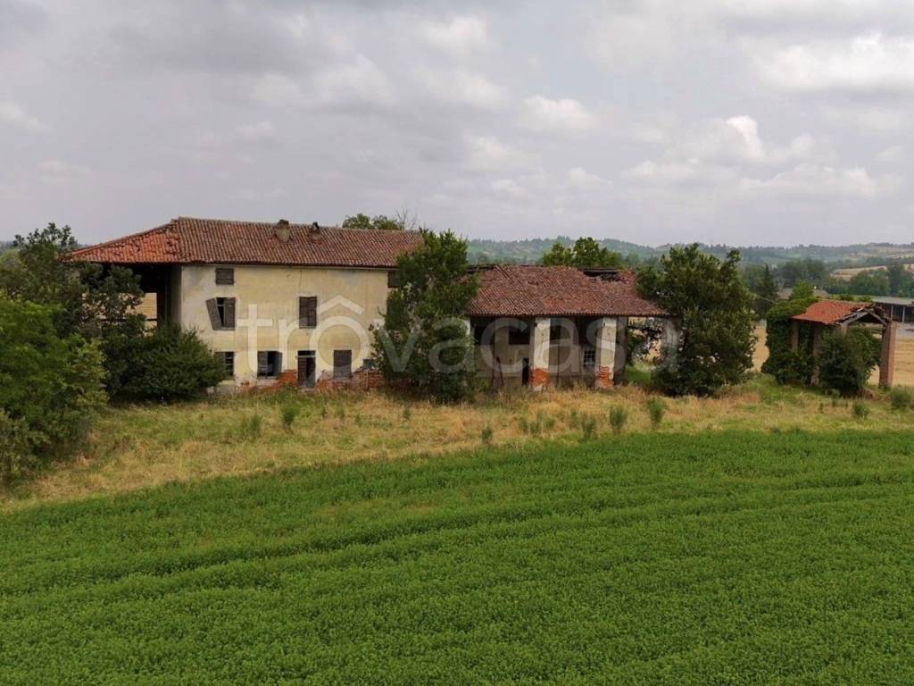 immagine annuncio 3 di 13