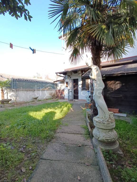 immagine annuncio 7 di 15