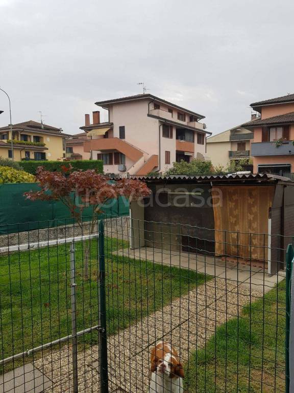 immagine annuncio 9 di 15