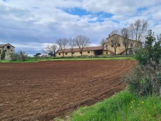 Terreno agricolo in vendita a gallicano nel lazio strada provinciale pedemontana i