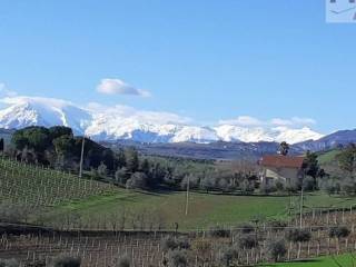 Terreno agricolo in vendita a offida contrada san lazzaro