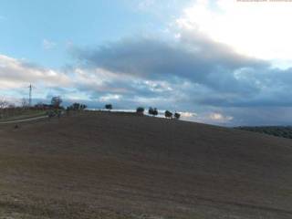 Terreno agricolo in vendita a spinetoli via ferretti