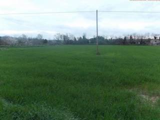 Terreno residenziale in vendita a monsampolo del tronto contrada san mauro