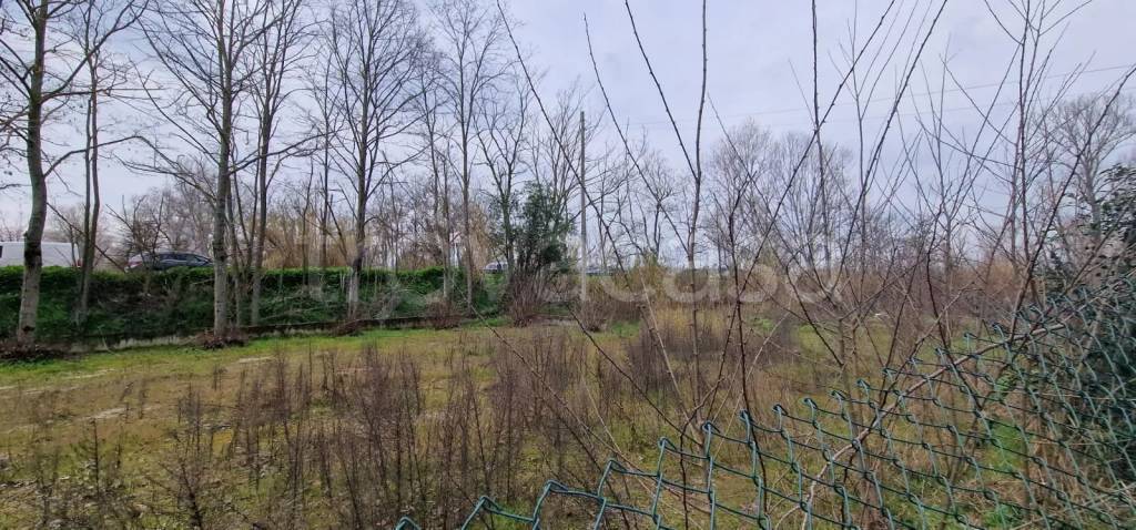 immagine annuncio 8 di 12
