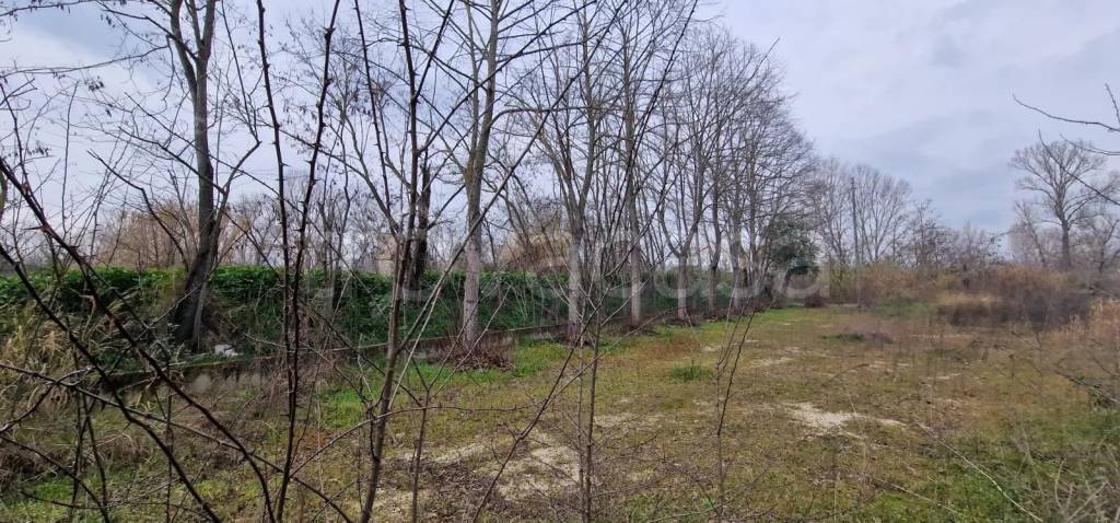 immagine annuncio 9 di 12
