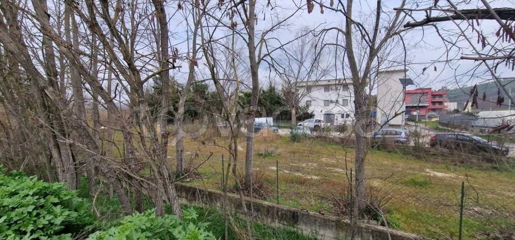 immagine annuncio 10 di 12