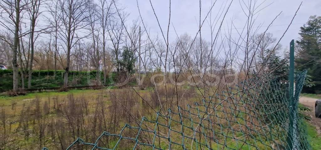 immagine annuncio 11 di 12