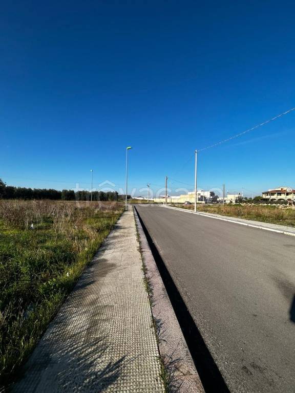 immagine annuncio 4 di 8