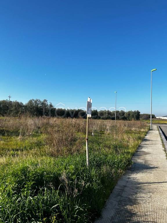 immagine annuncio 6 di 8