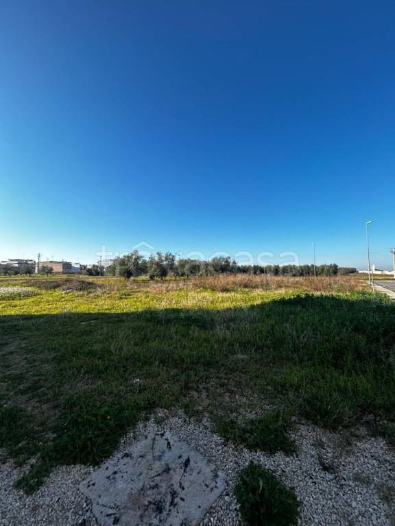 immagine annuncio 7 di 8