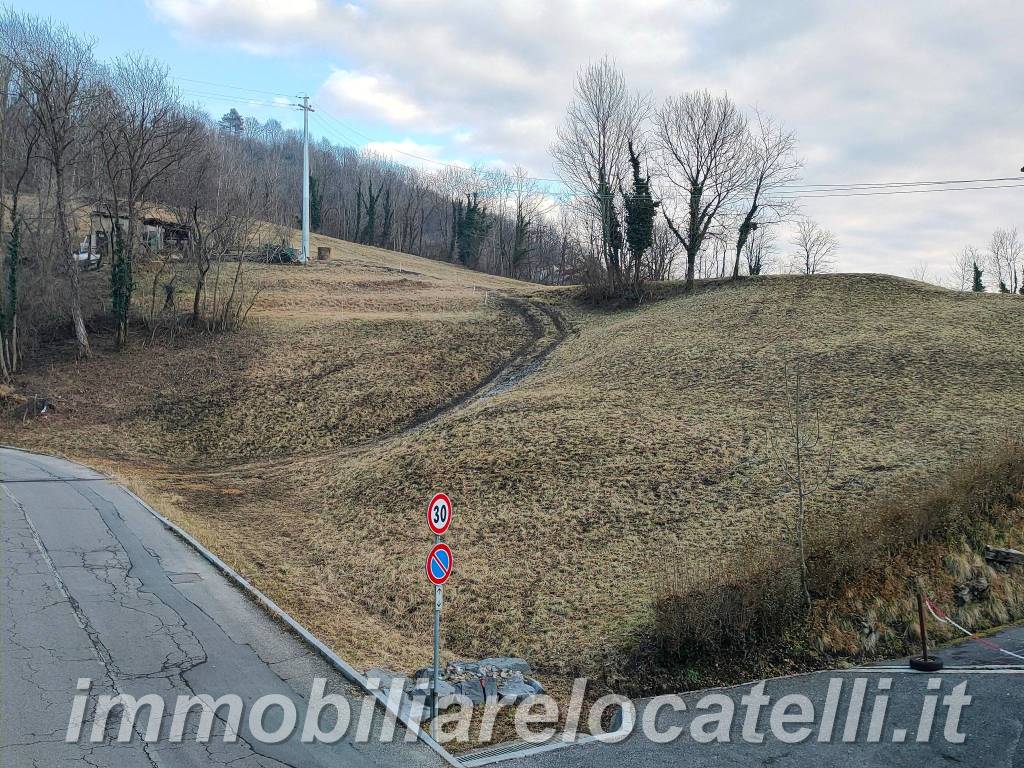 immagine annuncio 12 di 14