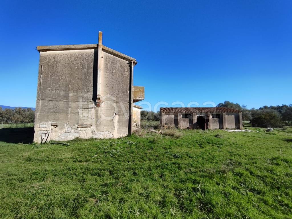 immagine annuncio 6 di 9