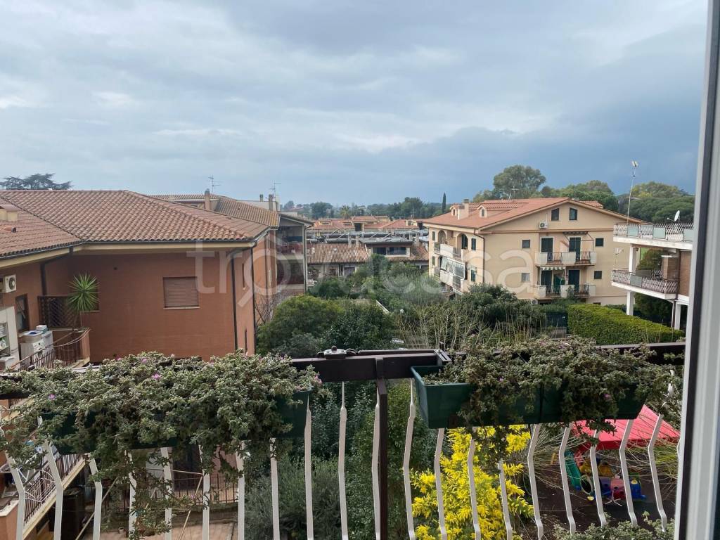 immagine annuncio 2 di 12