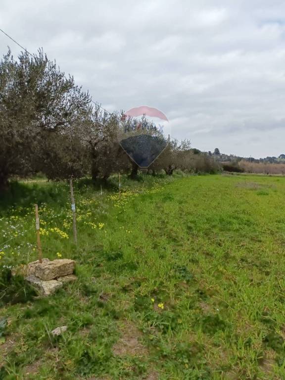 immagine annuncio 13 di 14
