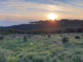 Terreno agricolo in vendita a viterbo strada guardiola