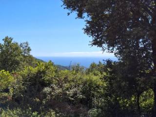 Terreno agricolo in vendita a dolcedo strada tricheri santa brigida, 1 -a