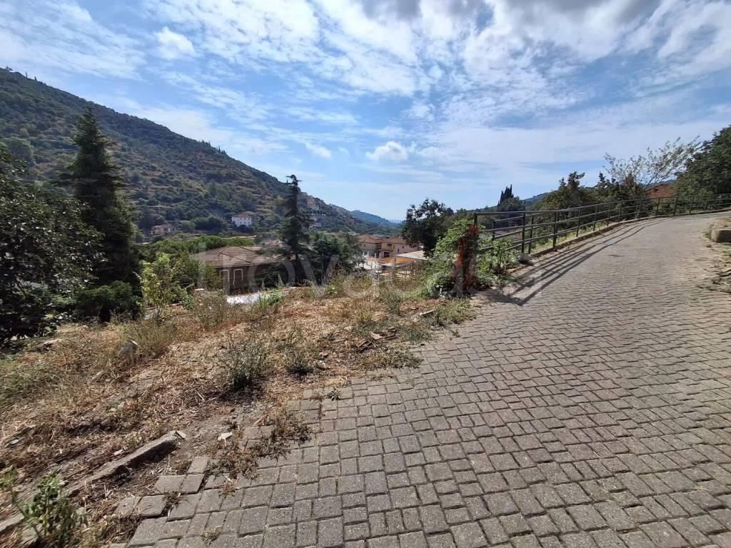 immagine annuncio 6 di 14