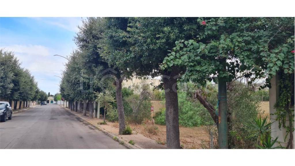 immagine annuncio 1 di 7