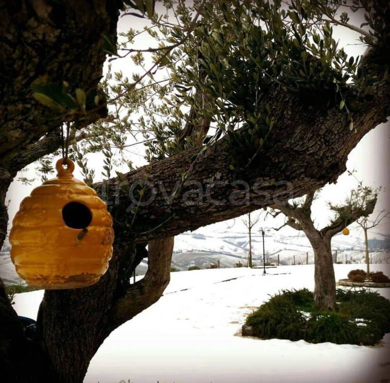 immagine annuncio 14 di 15