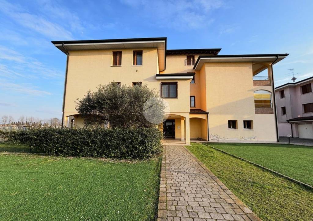 immagine annuncio 1 di 8