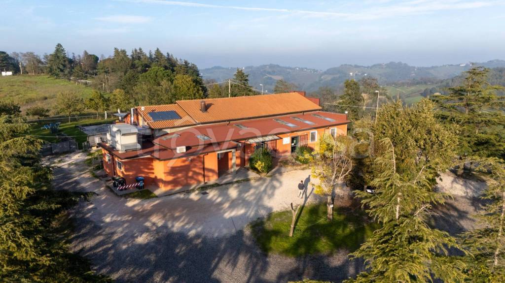 immagine annuncio 7 di 14