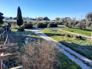 Terreno agricolo in vendita a castagneto carducci strada provinciale del passo di bocca di valle