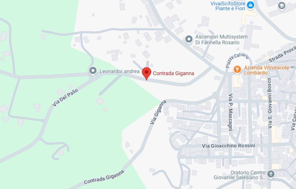 immagine annuncio 1 di 12