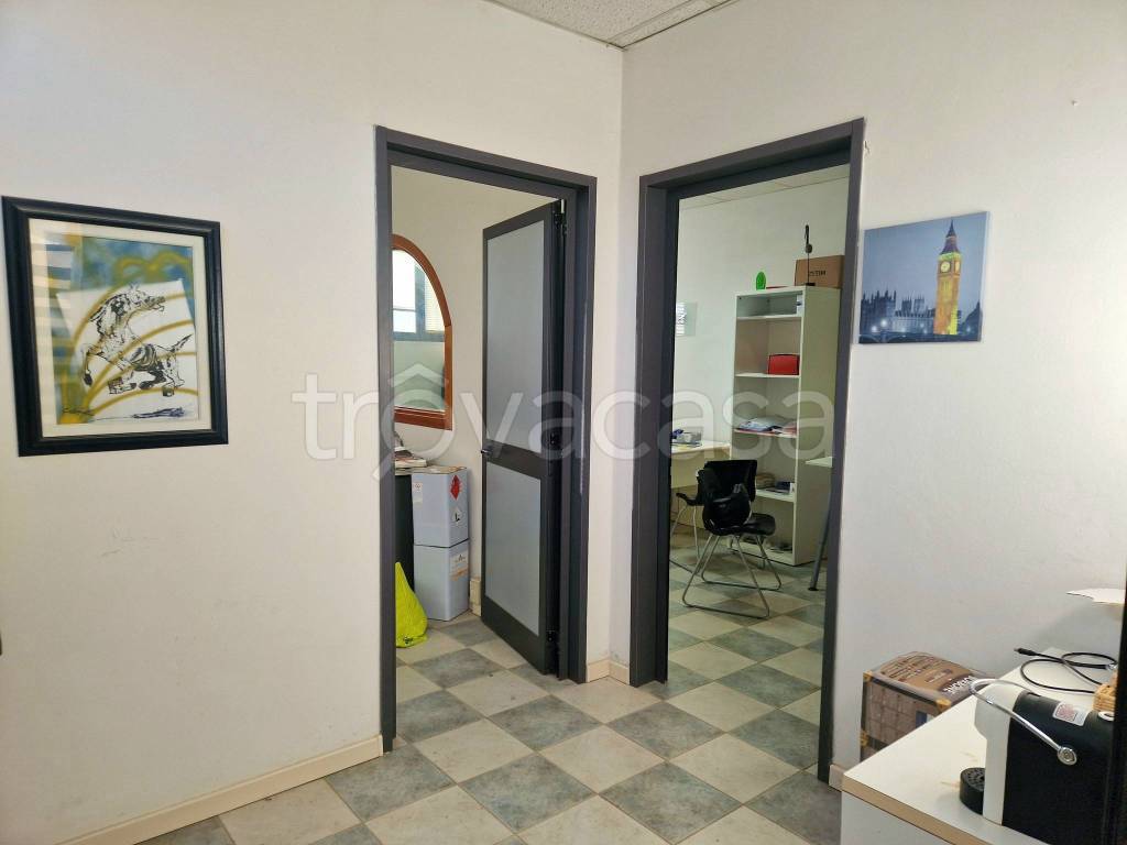 immagine annuncio 7 di 11