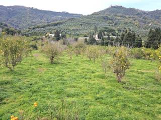 Terreno agricolo in vendita a naso contrada fiumara