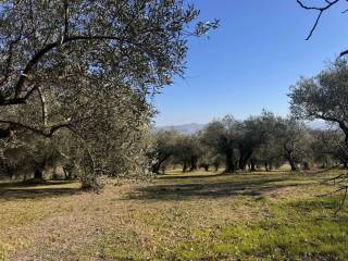 Terreno agricolo in vendita a grottaminarda contrada toppolo, 8200