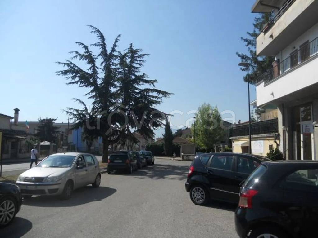 immagine annuncio 8 di 12