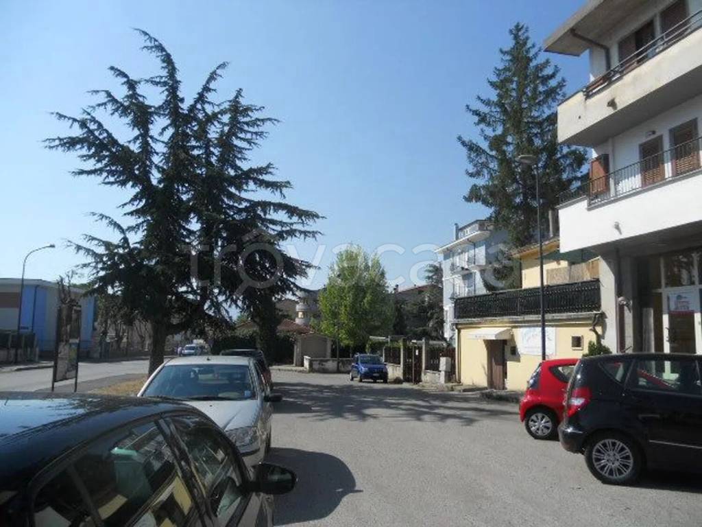 immagine annuncio 9 di 12
