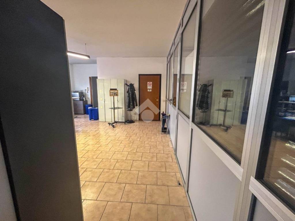 immagine annuncio 9 di 14