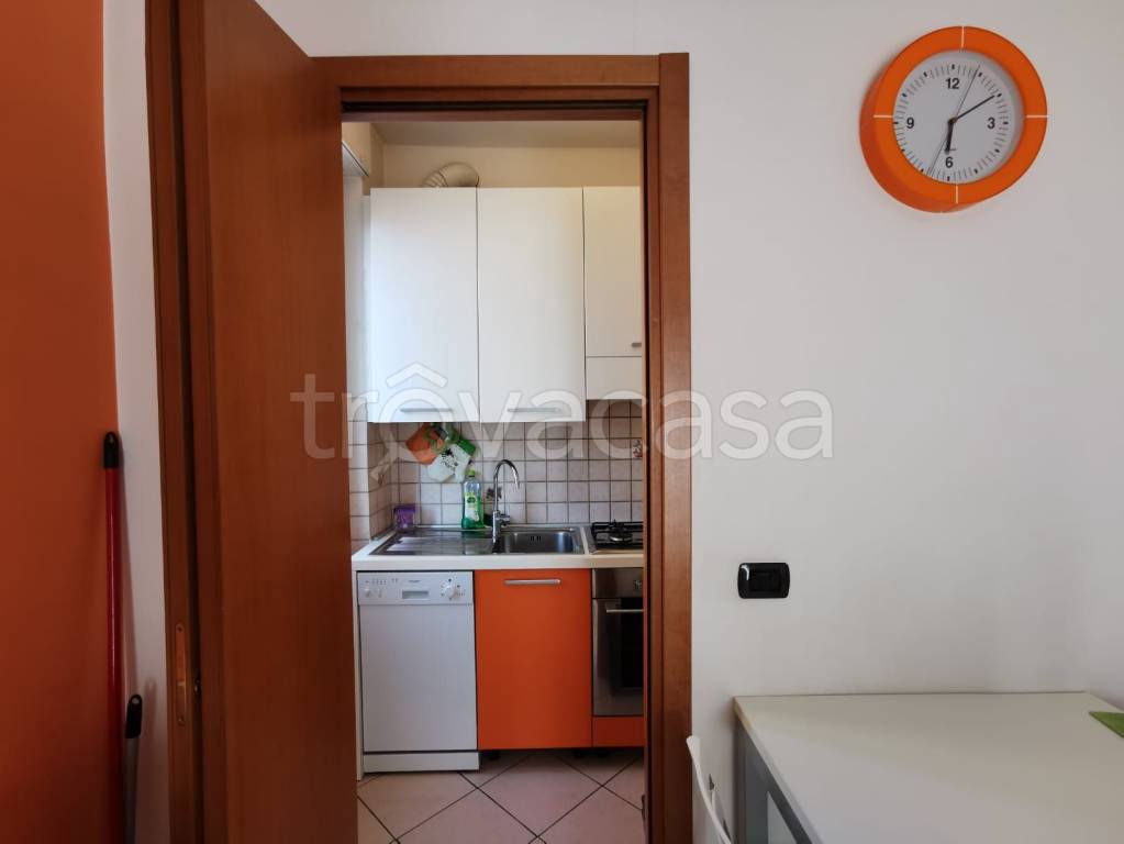 immagine annuncio 3 di 12