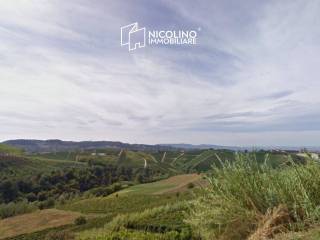 Terreno agricolo in vendita a sinio via alba