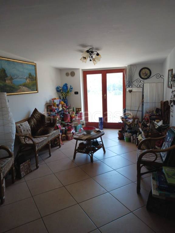 immagine annuncio 3 di 11