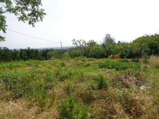 Terreno residenziale in vendita a ziano piacentino strada della calcinara