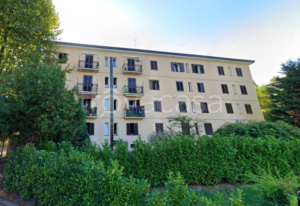 immagine annuncio 12 di 13
