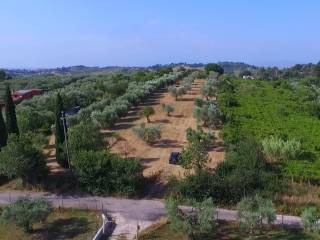 Terreno agricolo in vendita a fonte nuova via giuseppe gioachino belli