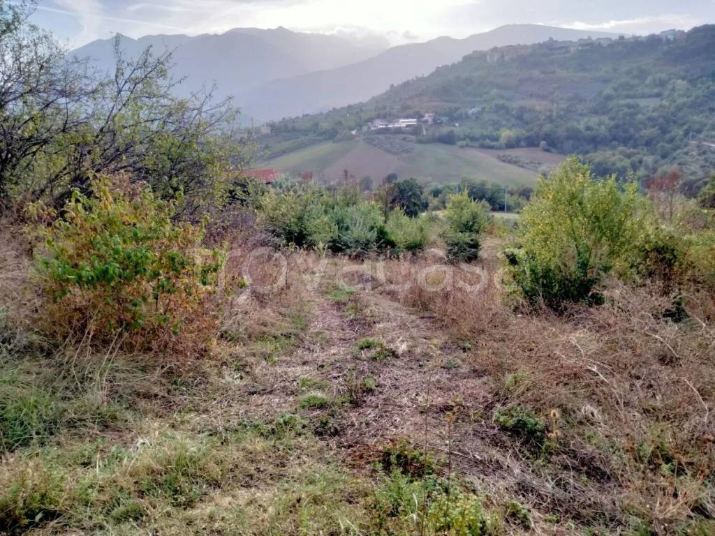 immagine annuncio 3 di 4