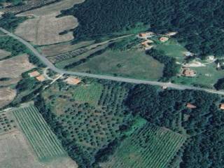 Appartamento all'asta a sorano loc.podere olinto