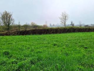 Terreno residenziale all'asta a zugliano via flora minotto