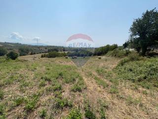 Terreno agricolo in vendita a capena 